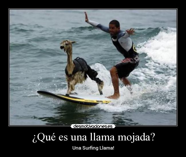 ¿Qué es una llama mojada? -