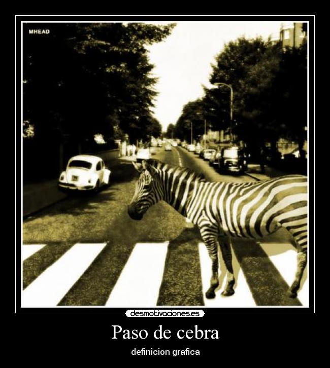 Paso de cebra - 