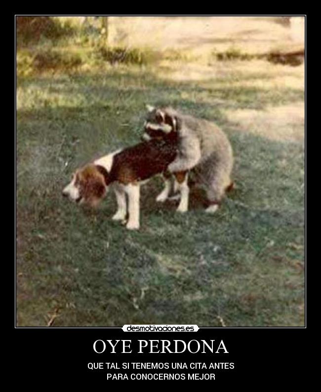 OYE PERDONA - QUE TAL SI TENEMOS UNA CITA ANTES
PARA CONOCERNOS MEJOR