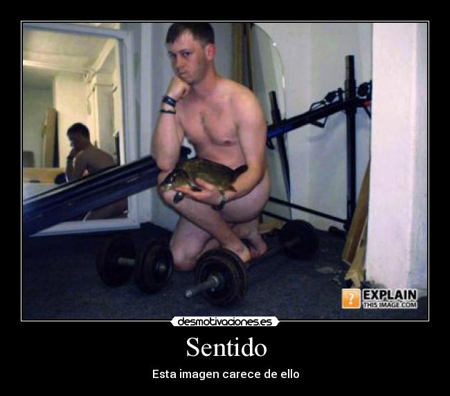 Sentido - Esta imagen carece de ello