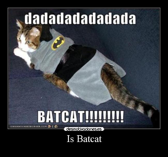 carteles batcat desmotivaciones