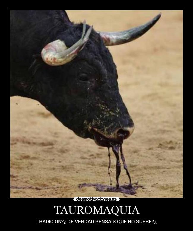 TAUROMAQUIA -