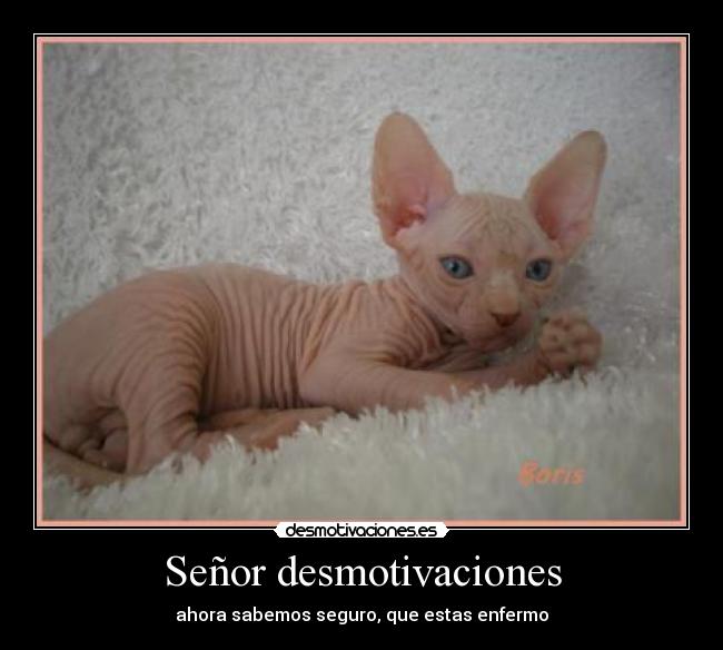 Señor desmotivaciones -