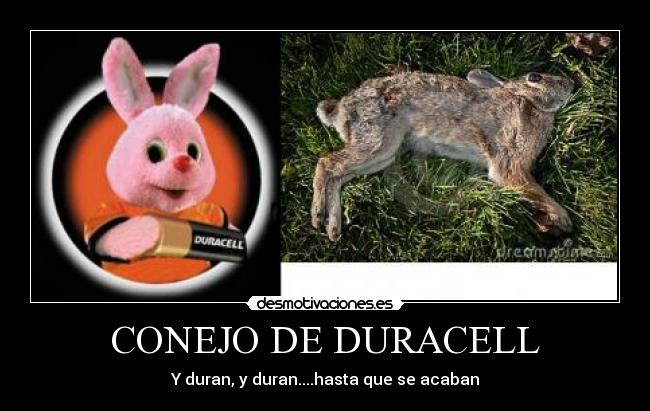 CONEJO DE DURACELL - Y duran, y duran....hasta que se acaban
