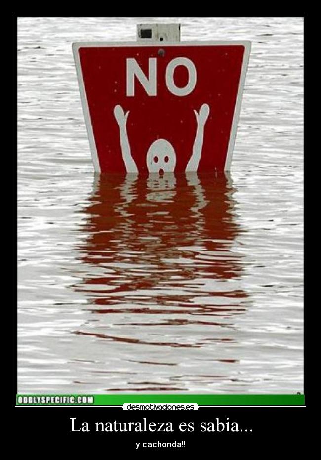 La naturaleza es sabia... - 
