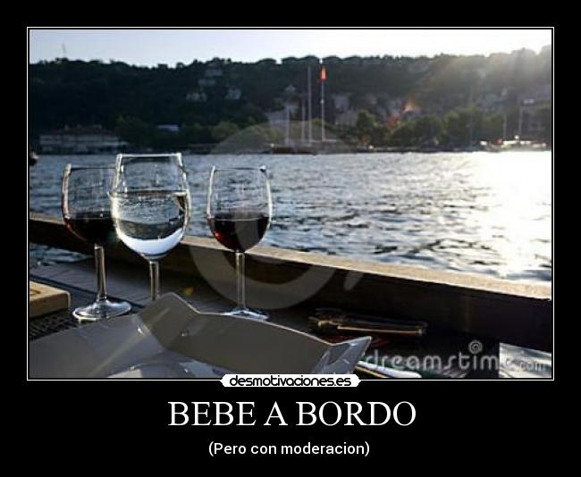 BEBE A BORDO - (Pero con moderacion) 