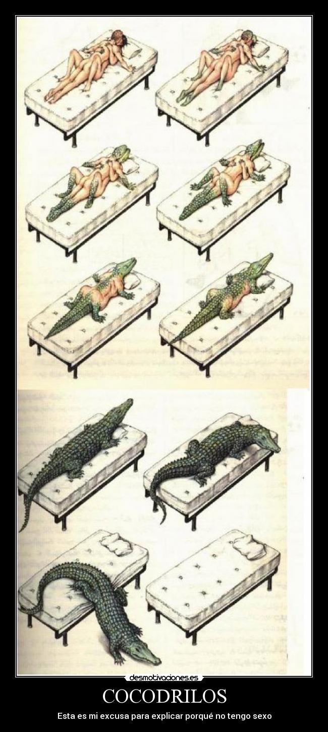 COCODRILOS - Esta es mi excusa para explicar porqué no tengo sexo
