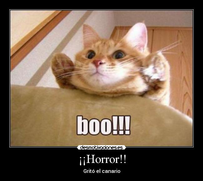 ¡¡Horror!! - Gritó el canario