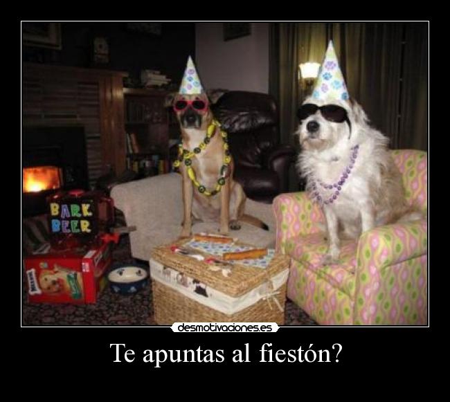 carteles perros fiesta desmotivaciones