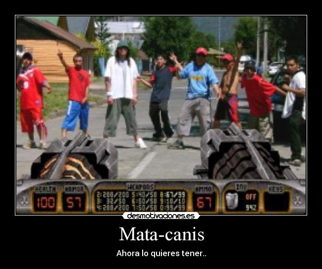 Mata-canis - Ahora lo quieres tener..