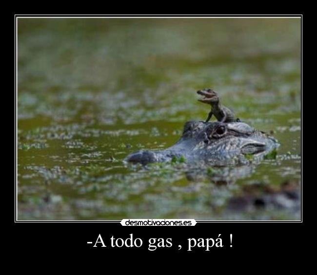 -A todo gas , papá ! -