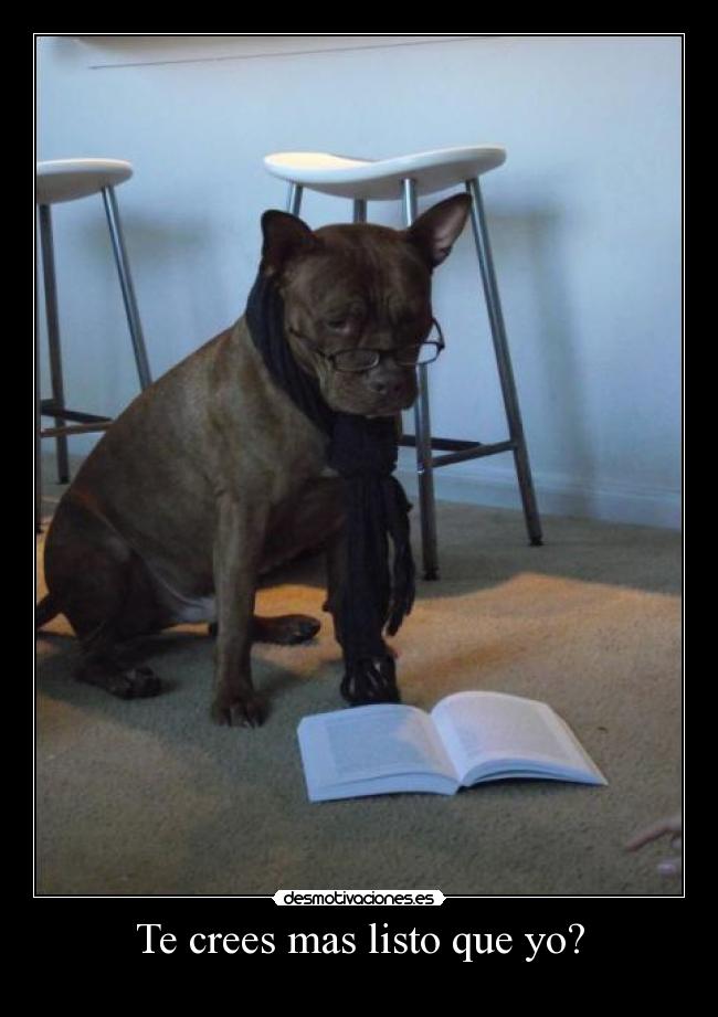 Te crees mas listo que yo? - 