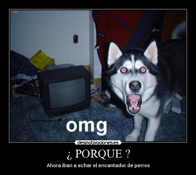 ¿ PORQUE ? - 
