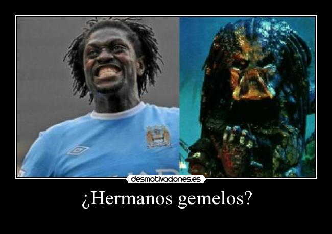 ¿Hermanos gemelos? - 