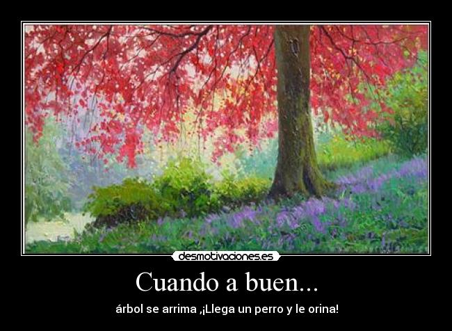 Cuando a buen... - 