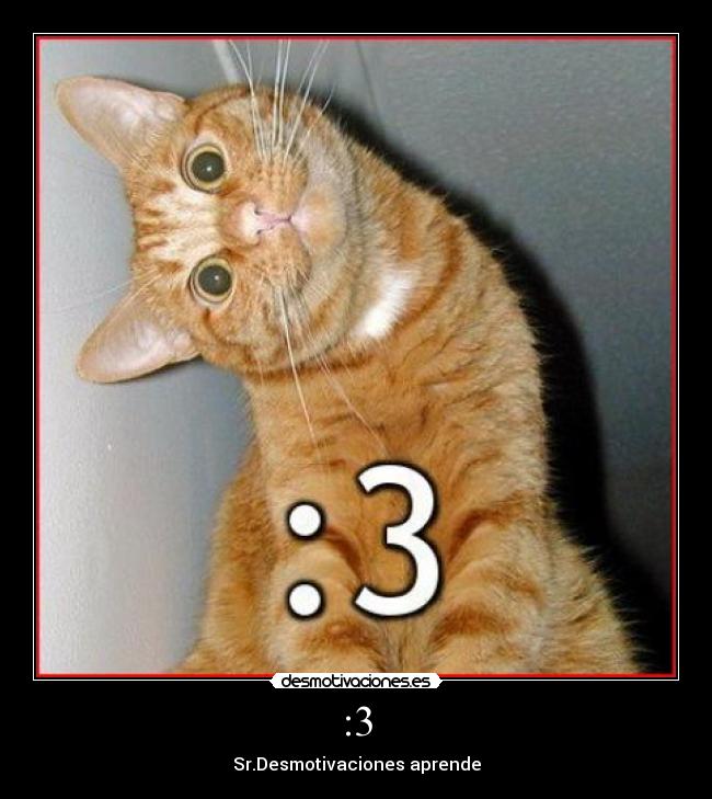 :3 - Sr.Desmotivaciones aprende