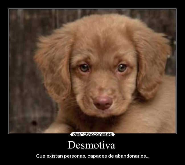 Desmotiva -