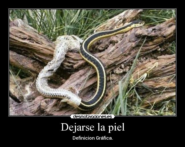 Dejarse la piel - 