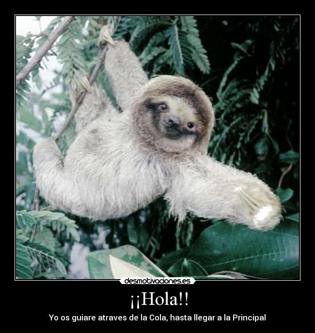 ¡¡Hola!! - 