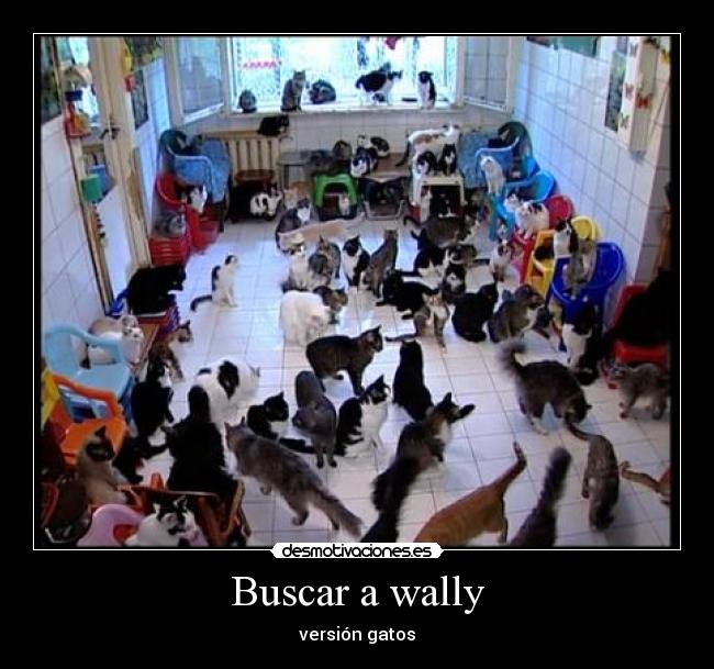 Buscar a wally - versión gatos