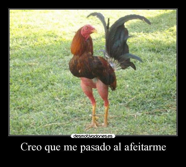 Creo que me pasado al afeitarme - 