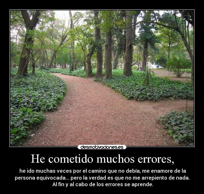 He cometido muchos errores, -