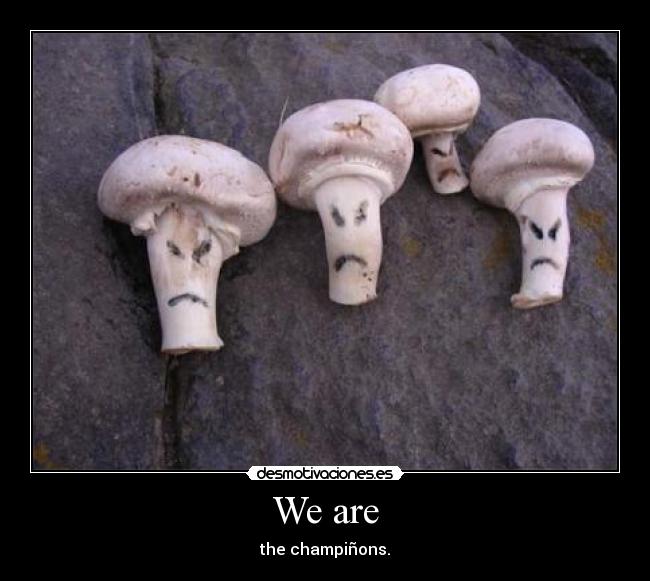 We are - the champiñons.