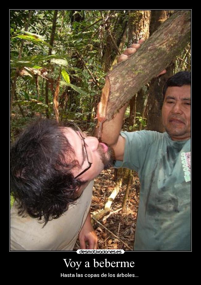 Voy a beberme  - 