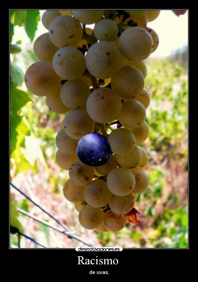 Racismo -