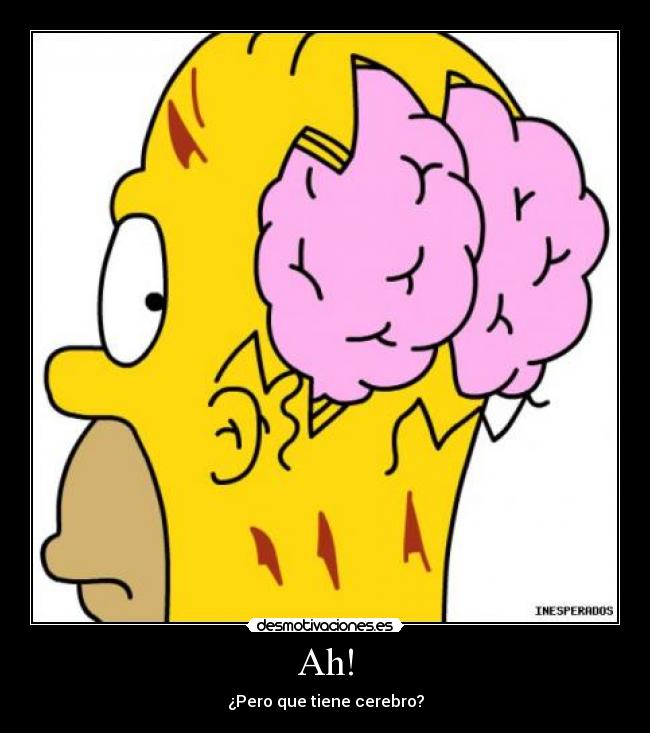 Ah! - ¿Pero que tiene cerebro?