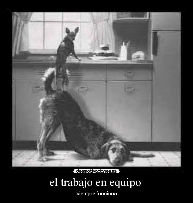 el trabajo en equipo  - 