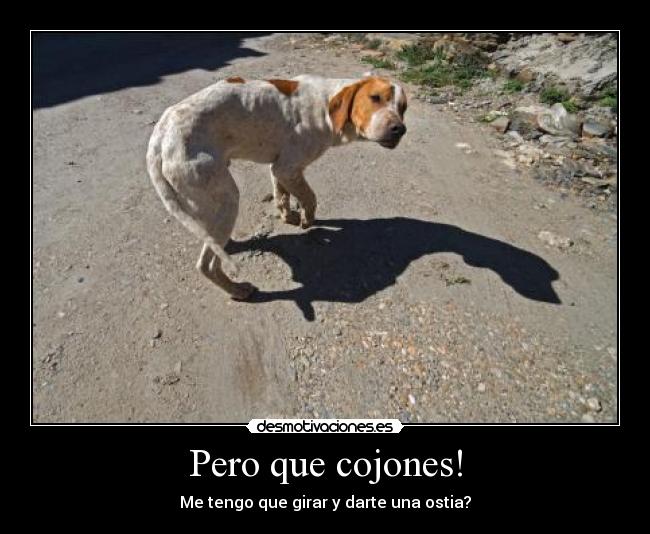 Pero que cojones! - Me tengo que girar y darte una ostia?