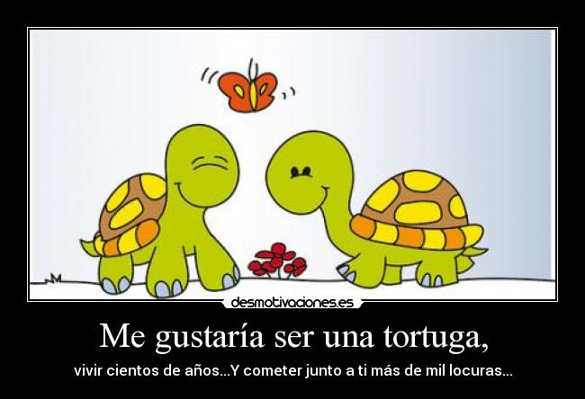 carteles tortugas enamoradas desmotivaciones