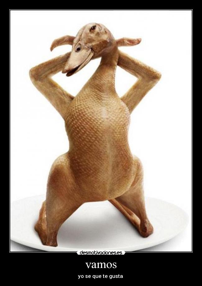 vamos - yo se que te gusta