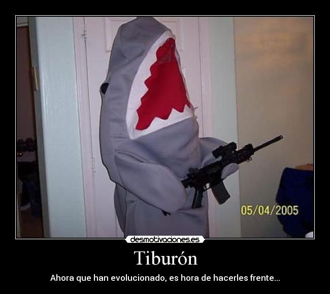 Tiburón - Ahora que han evolucionado, es hora de hacerles frente...