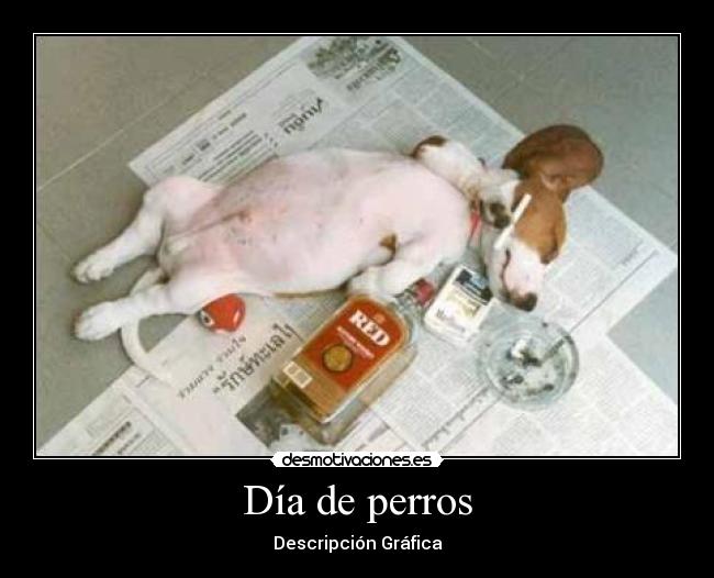 Día de perros - Descripción Gráfica