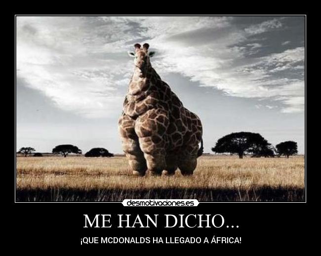 carteles aboyinspain mcdonalds africa girafa principal desmotivaciones