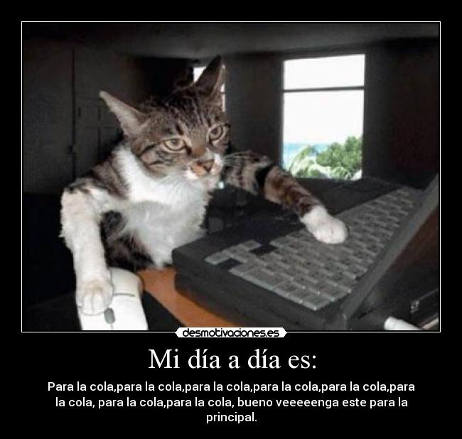 Mi día a día es: - 