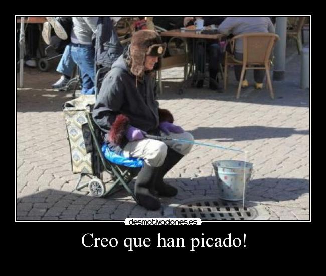Creo que han picado! -