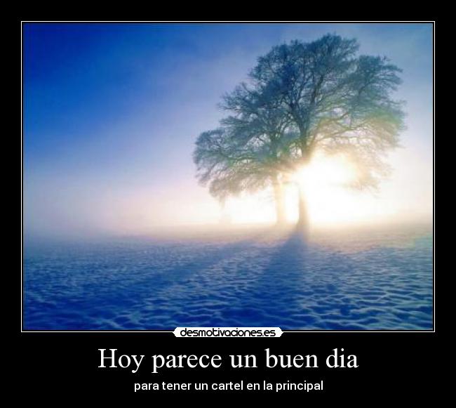 Hoy parece un buen dia - 