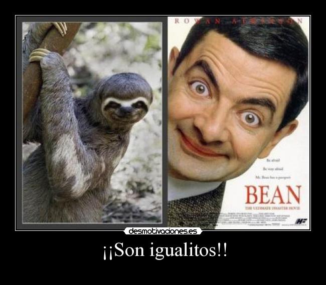 ¡¡Son igualitos!! - 