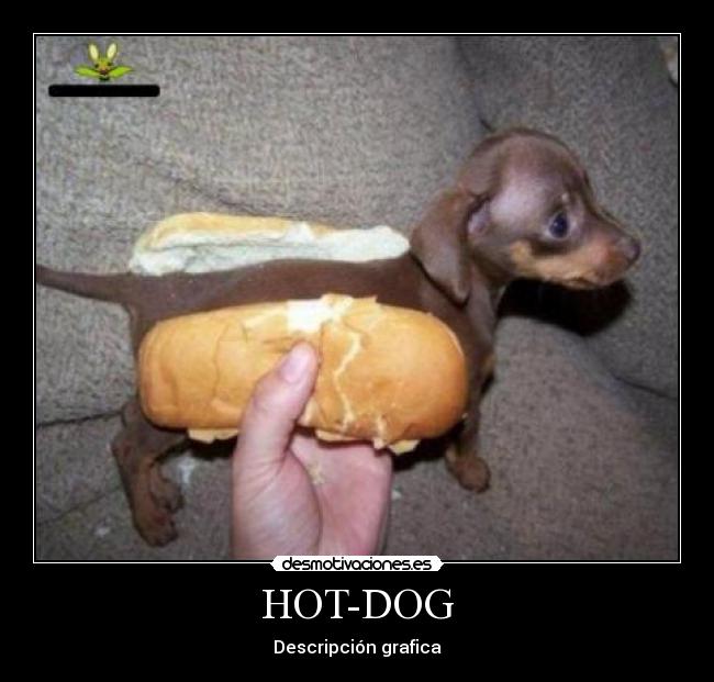 HOT-DOG - Descripción grafica