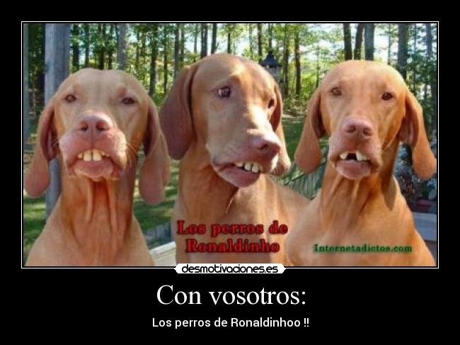 Con vosotros: - Los perros de Ronaldinhoo !!