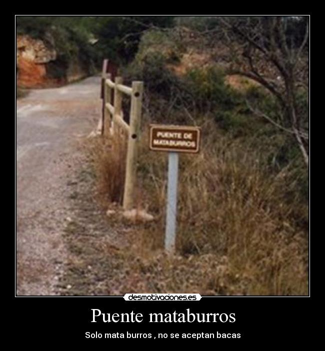 Puente mataburros -