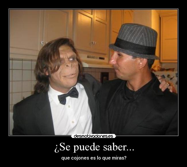 ¿Se puede saber... -