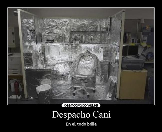 Despacho Cani - En el, todo brilla