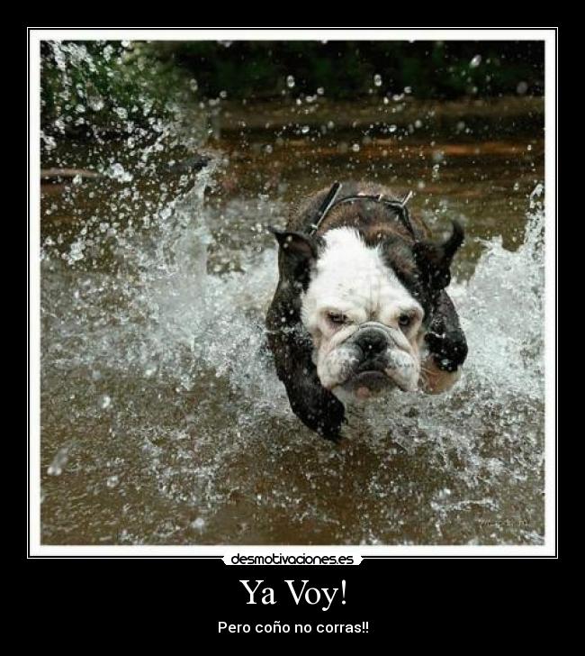 Ya Voy! - 