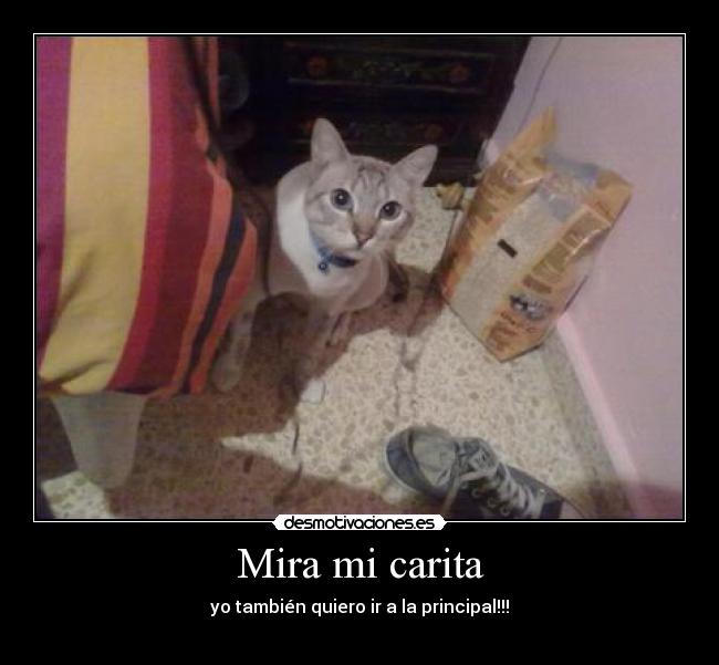 Mira mi carita - yo también quiero ir a la principal!!!