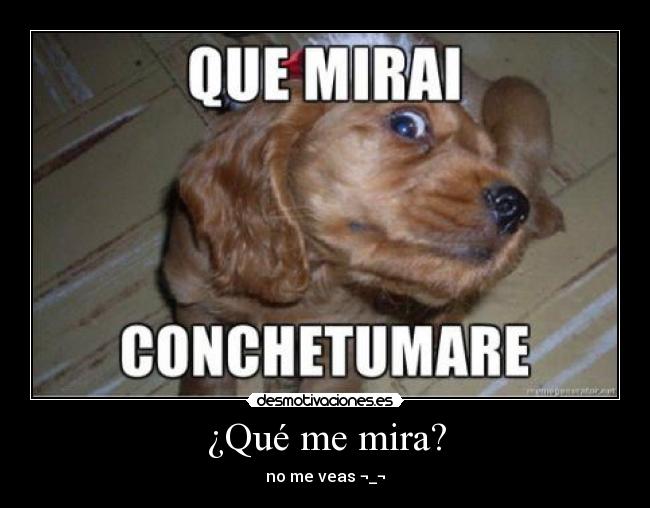 ¿Qué me mira? - no me veas ¬_¬