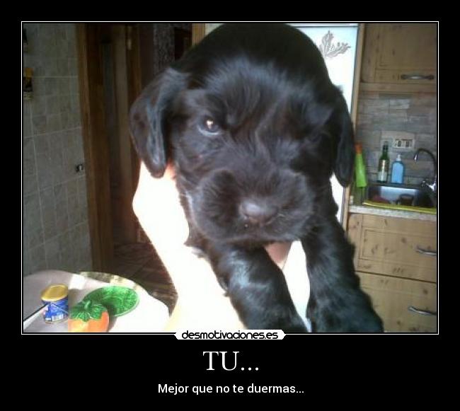 TU... - Mejor que no te duermas...